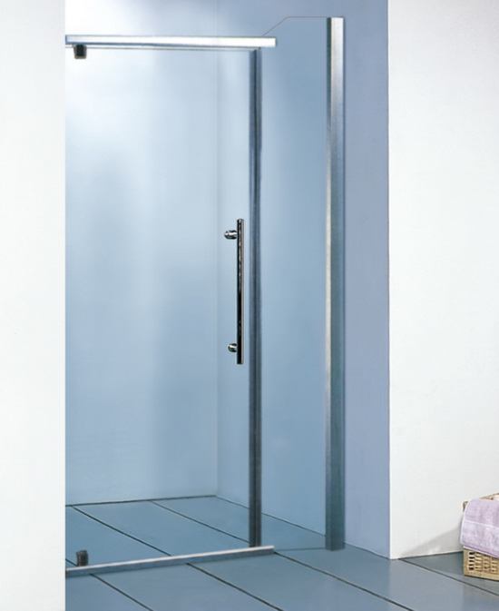 single shower door